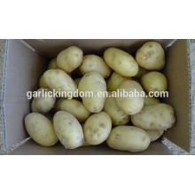 Голландский картофель / Новый урожай свежий картофель / Продаем свежий картофель